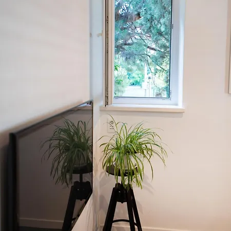 Apartman New Stylish 2br 2 Bathrooms 2 Min To Bacvice